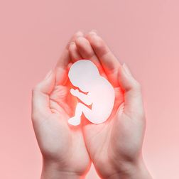 Informationen zur Abtreibungspille